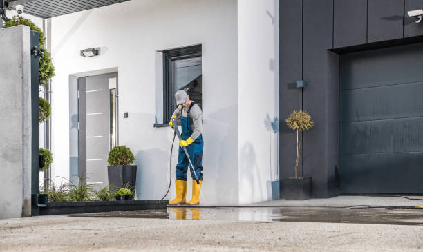 Best Solar Panel Cleaning  in Gregory, TX